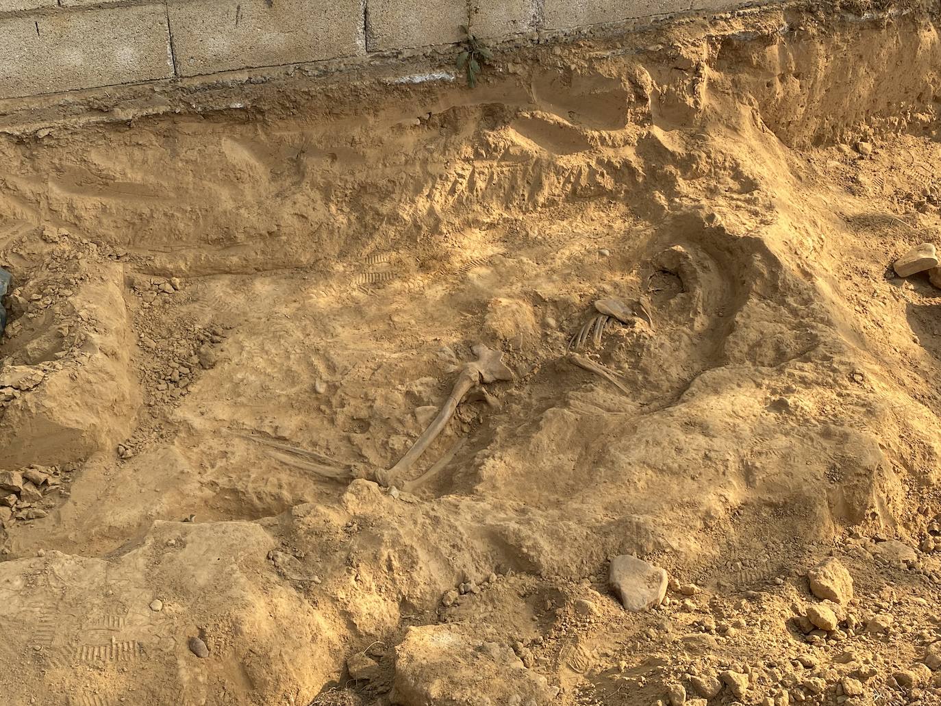 Fotos: Restos localizados en el cementerio de Fuentesnuevas