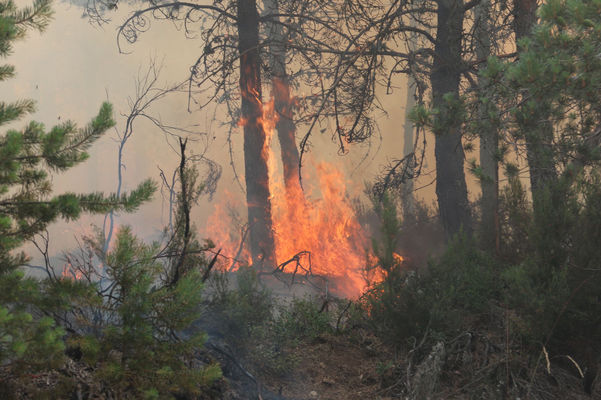 Fotos: El viento dificulta la extinción en Montes de Valdueza
