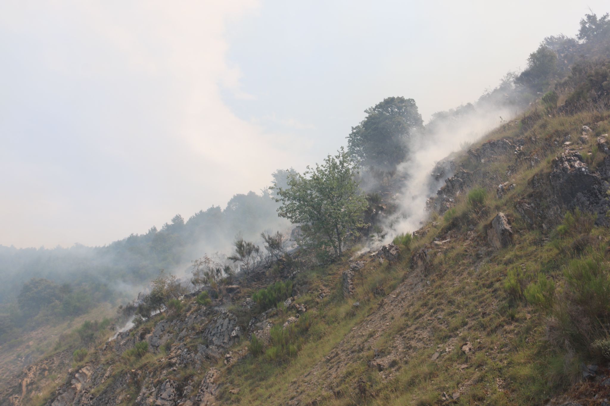 Fotos: Incendio forestal en Montes