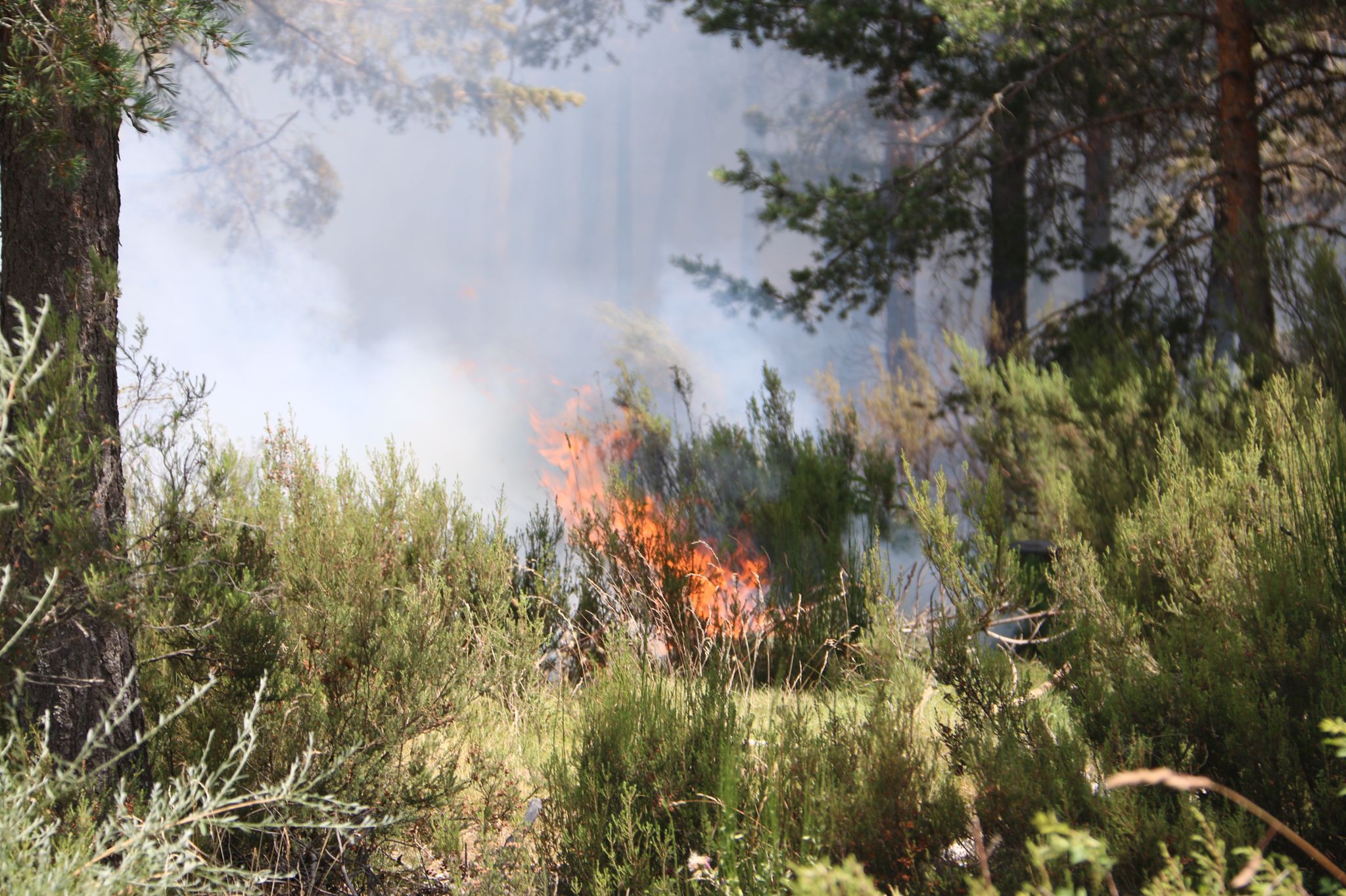 Fotos: Incendio forestal en Montes