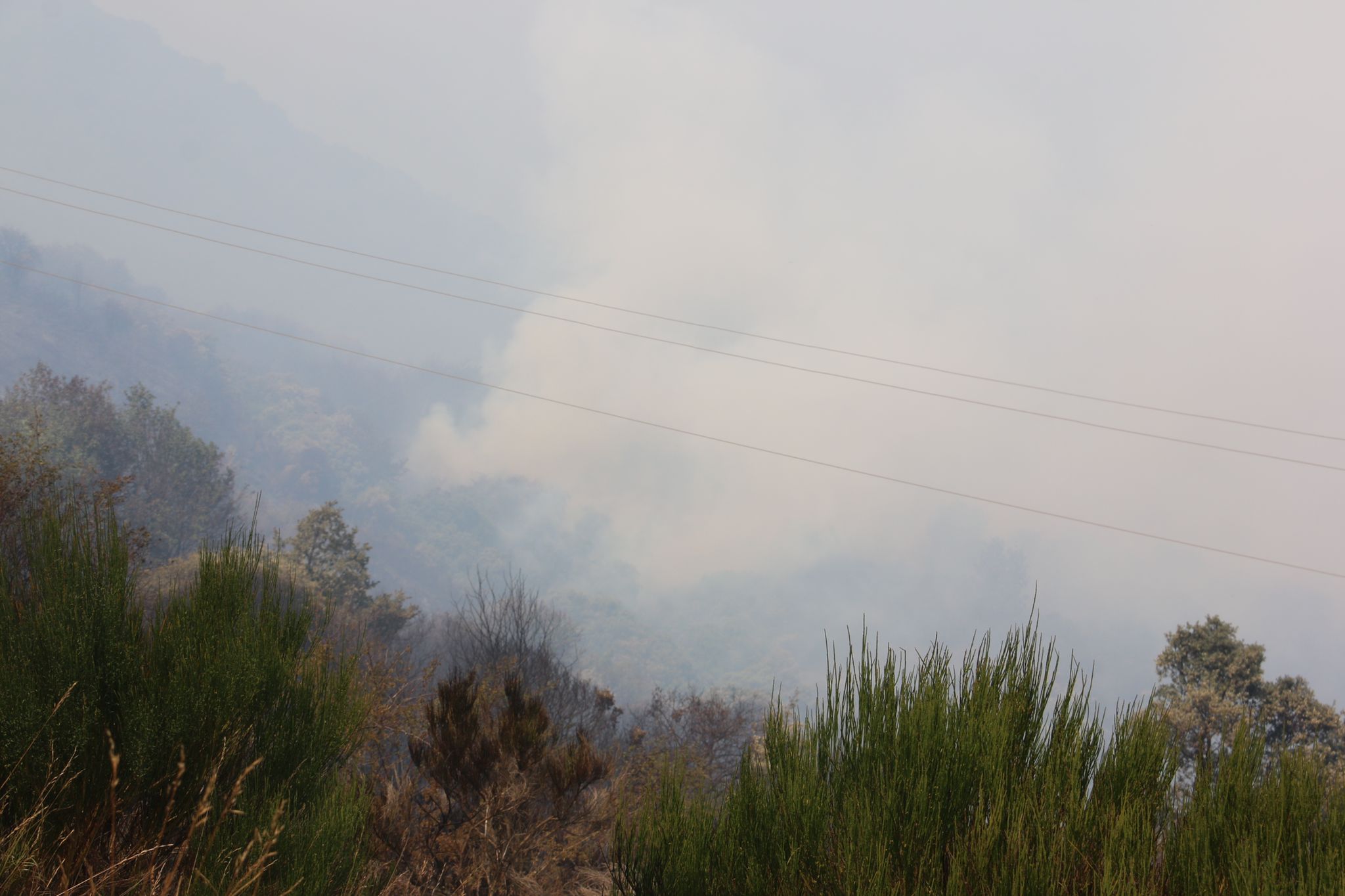 Fotos: Incendio forestal en Montes