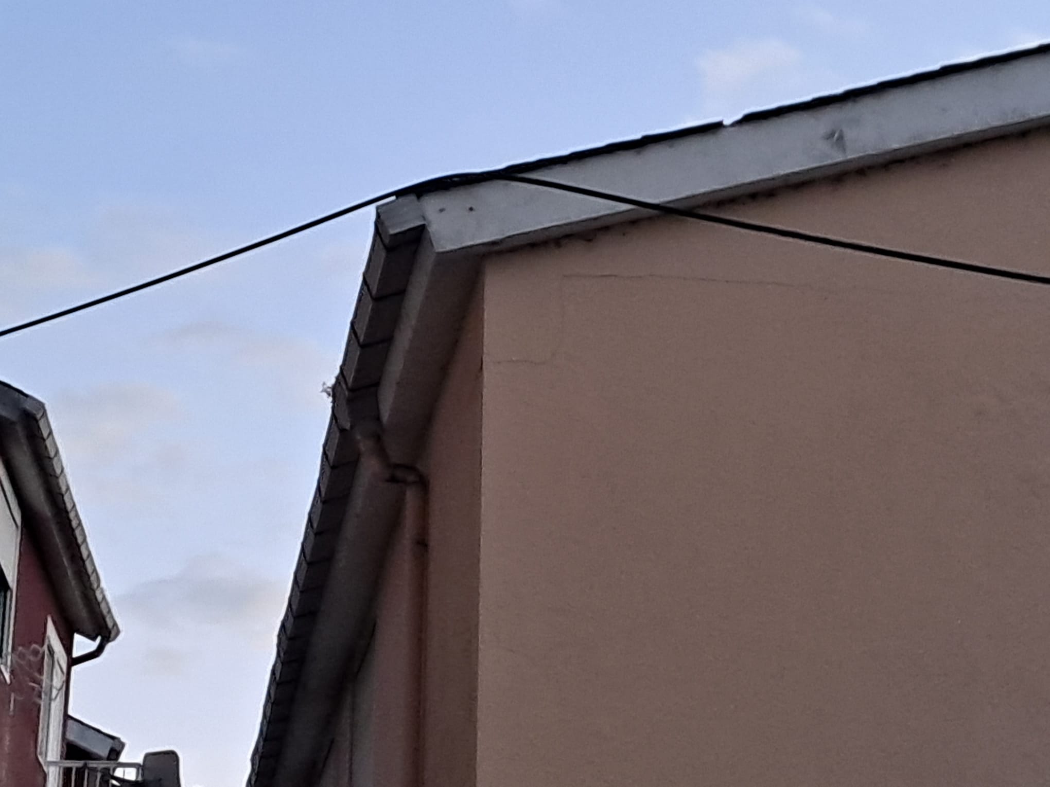 Fotos: Caída de un cable de alta tensión en Ponferrada
