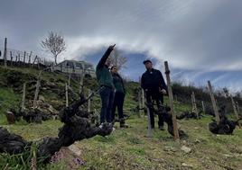 El periodista norteamericano Michael Franz visita esta semana los viñedos de la DO Bierzo.