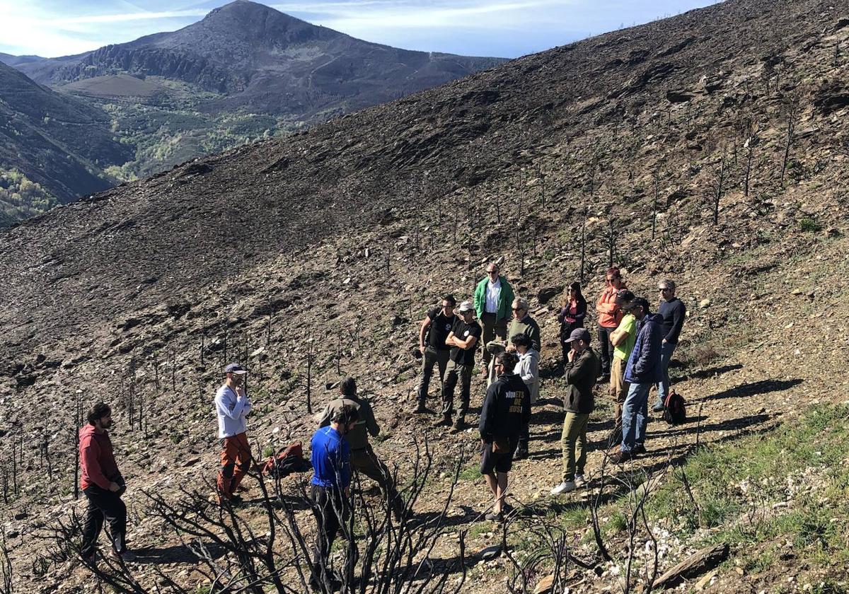 Alumnos del máster en la zona afectada por el incendio ocurrido el verano pasado.