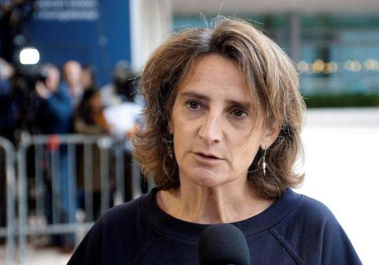 La ministra Ribera respaldará el sábado la candidatura de Demetrio Alfonso Canedo en Fabero
