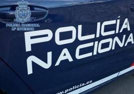 Una persona vio los hechos y facilitó a la Policía los datos del vehículo en el que fue introducida contra su voluntad.