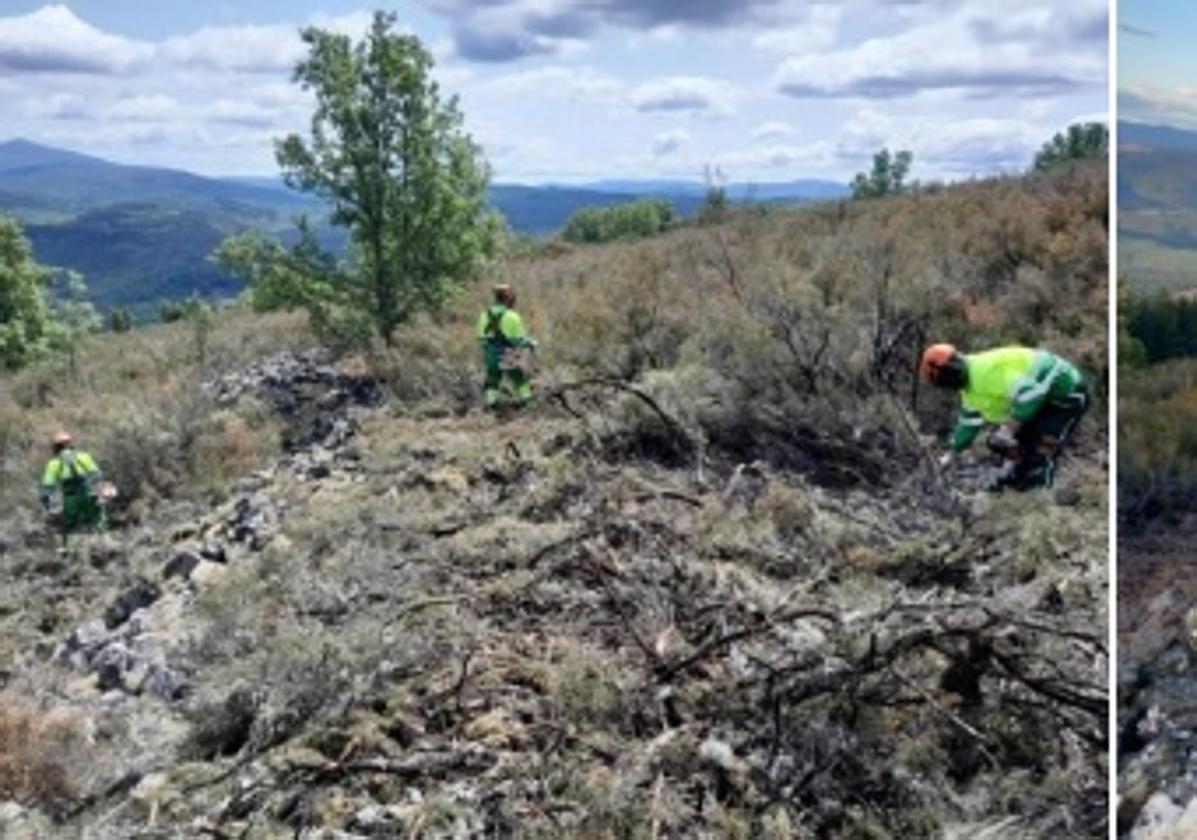 Alumnos del programa mixto trabajando en la limpieza de la zona.