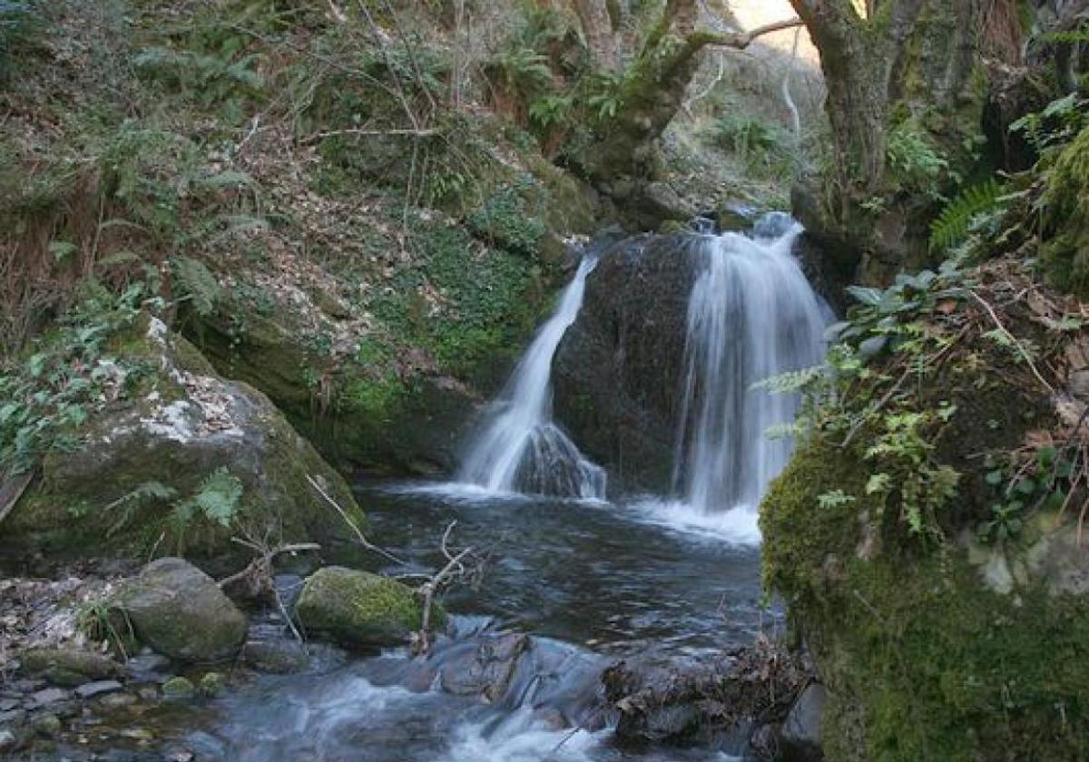 Cabrera Despierta pide la paralización de la central hidroeléctrica en el río Cabrera.