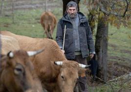 Imagen de 'As Bestas', una película en la que el Bierzo tiene una presencia destacada.