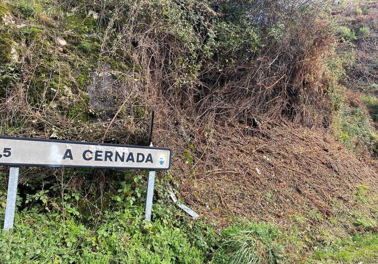 La Cernada quiere dejar El Bierzo e irse a Galicia