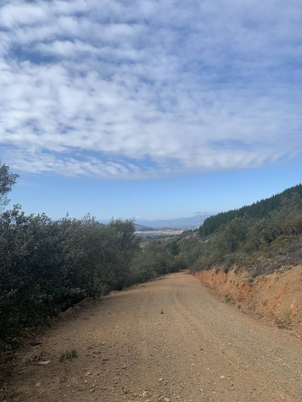 El Zofreral de Cobrana