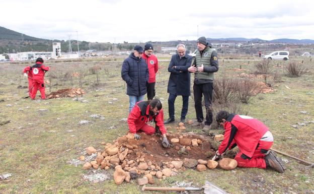 Comienza la plantación de 500 castaños del proyecto Anillo Verde de Ponferrada