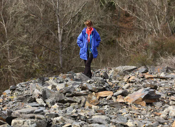 Derrumbe De Rocas Y Tierra En La Carretera A Fornela | El Bierzo Noticias