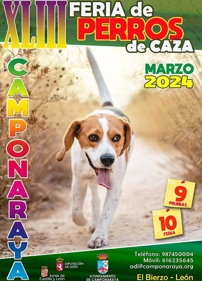 Cartel Feria de Perros de caza