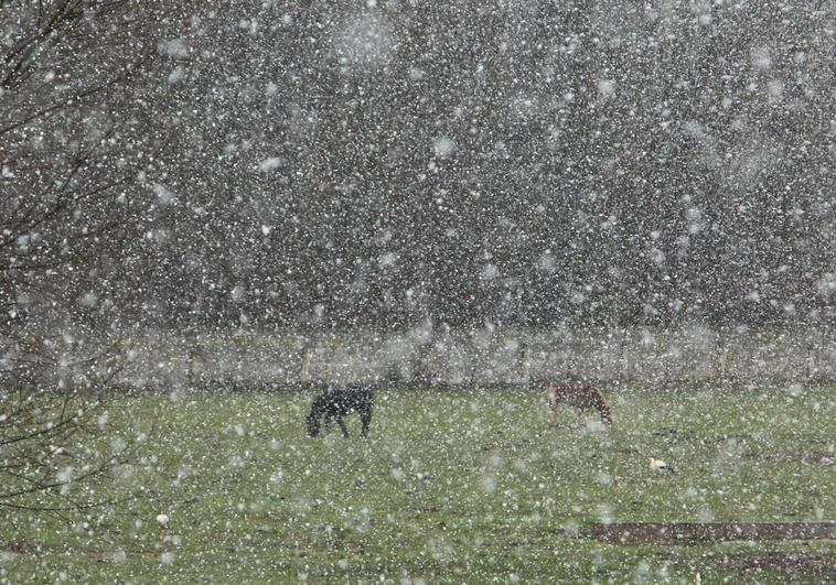 Nieva en Ponferrada