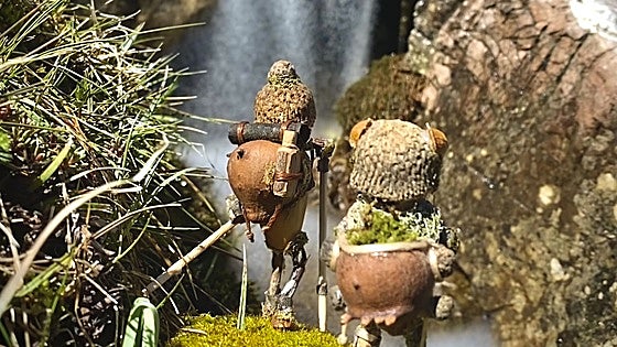 Los bellotines conquistan el Bierzo