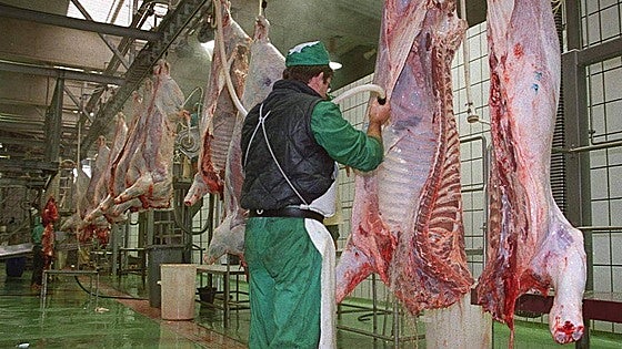 Una empresa de Orense se postula para reabrir el matadero de Toreno