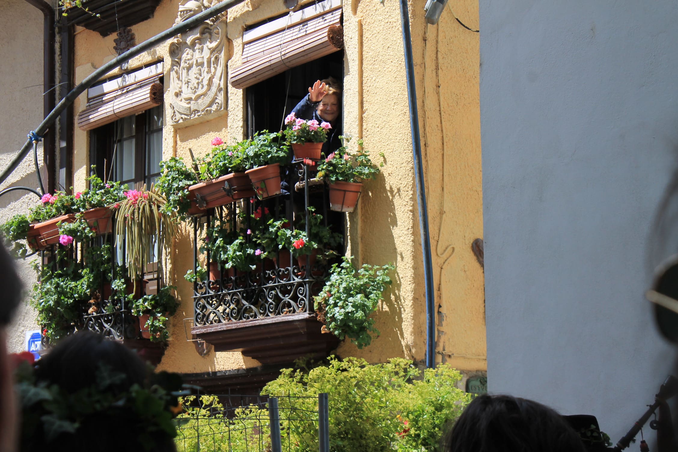 Los Maios tiñen de verde Villafranca
