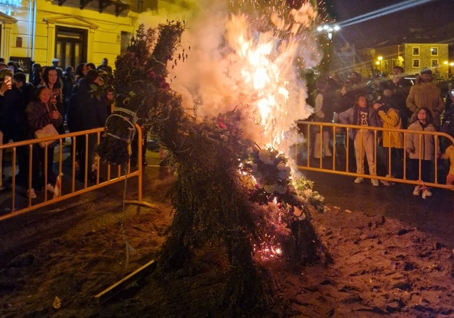 El Burro de invierno en la quema.