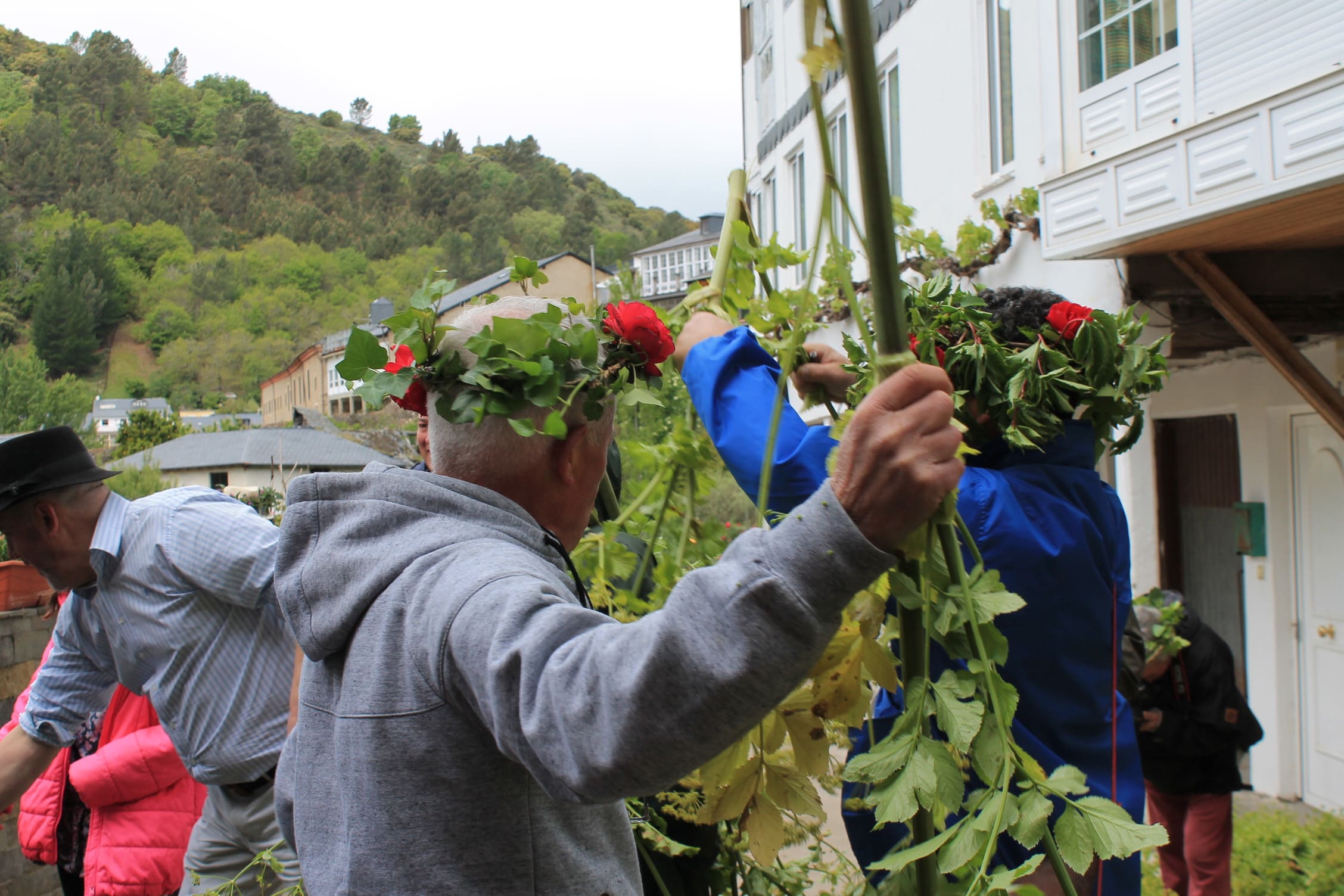Los Maios tiñen de verde Villafranca