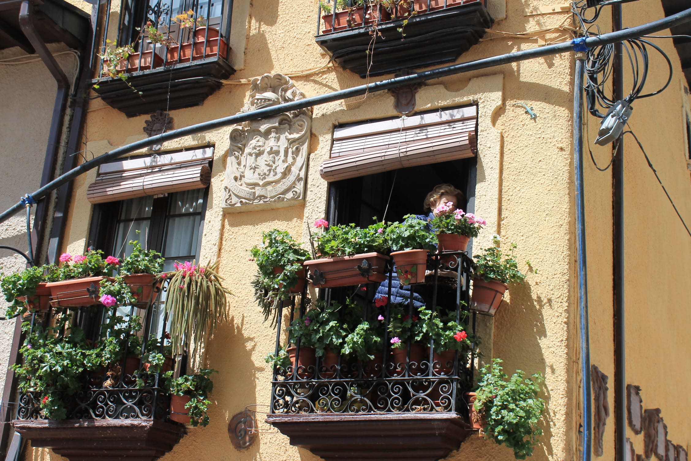 Los Maios tiñen de verde Villafranca