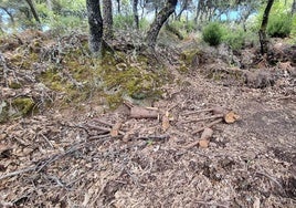 Destrozos en la senda mágica de Otero de Naraguantes.