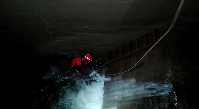 Los bomberos de Ponferrada rescatan a una perra atrapada en un túnel