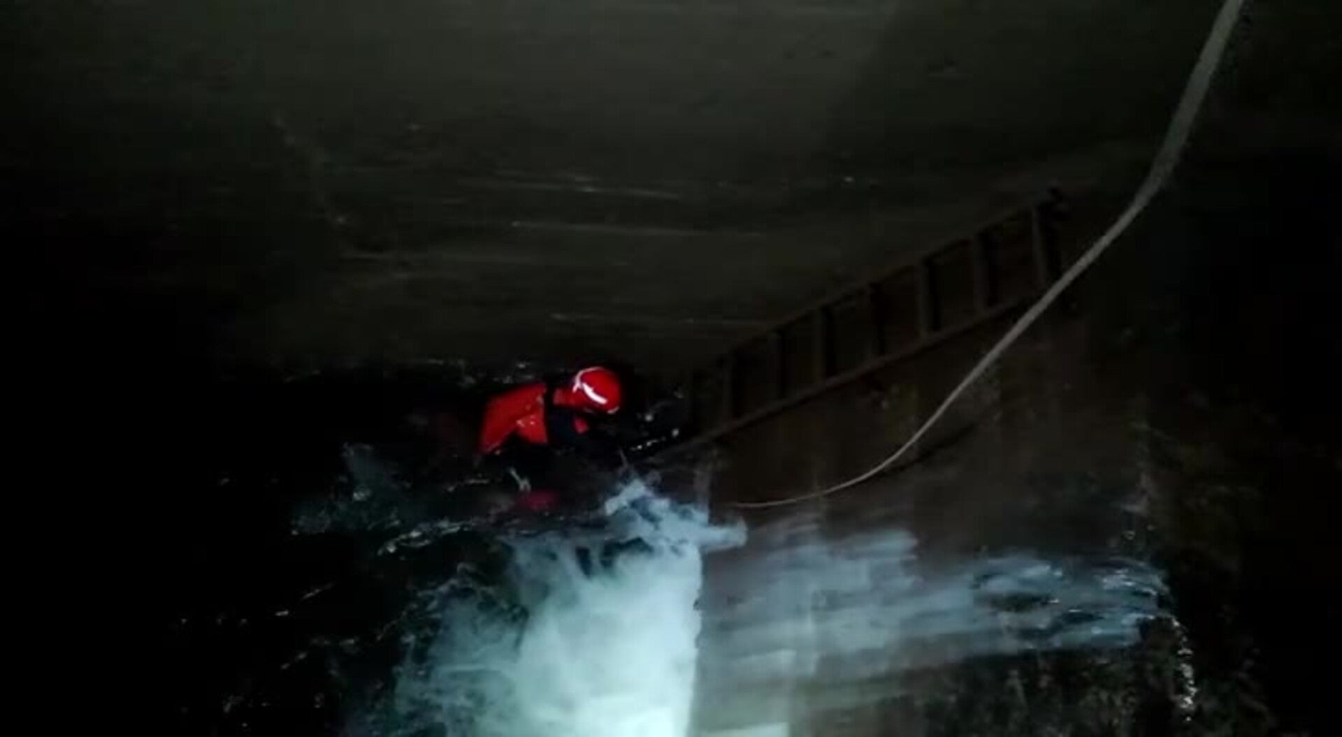 Los bomberos de Ponferrada rescatan a una perra atrapada en un túnel