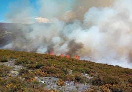 Imagen del incendio declarado en El Bierzo.