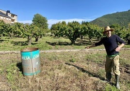 Roberto López señala la zona donde estaba el jabalí.