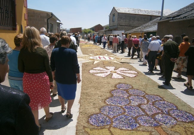 Alfombra de flores en Camponaraya en el año 2013