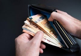 Imagen de una cartera con dinero en su interior.