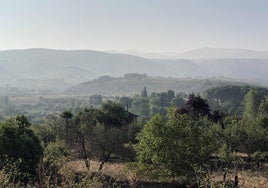 El intenso humo del incendio de Castrillo de los Polvazares se ha extendido a Ponferrada.