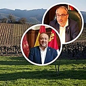 La Diputación y el Consejo Comarcal se oponen al uso de la uva godello en la DO Rueda