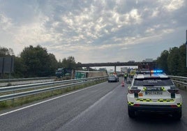 El camión siniestrado volcó en la mediana de la A-6 en el municipio de Lugo.