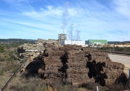 Acopios de madera junto a la planta de Forestalia de Cubillos del Sil, en una imagen de archivo.