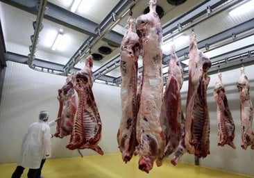 La lucha de Toreno por reabrir el único matadero del Bierzo: «Hemos estado peleándonos solos»