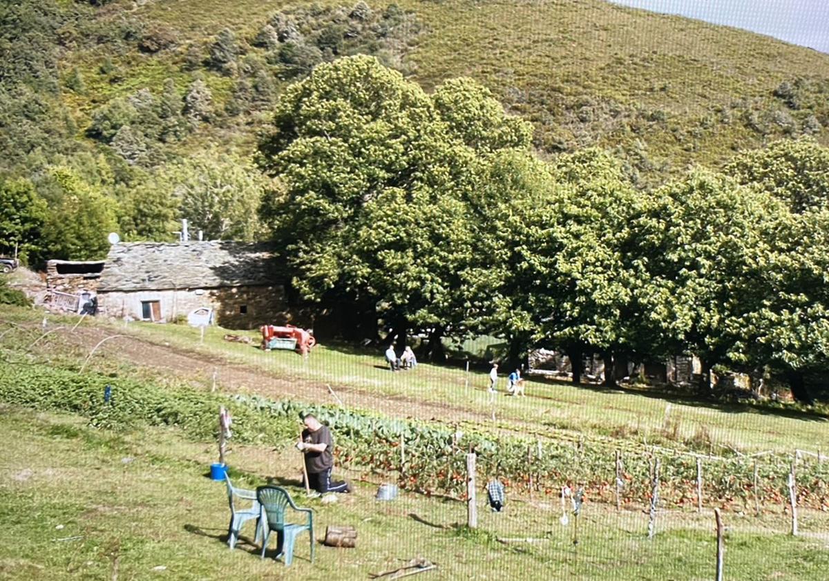Imagen principal - Quintela de Barjas, Villafranca del Bierzo o Ponferrada fueron algunas de las localizaciones de As Bestas.