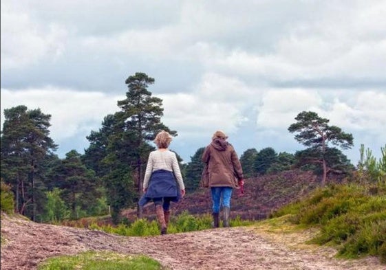 Imagen de archivo de mujeres paseando.