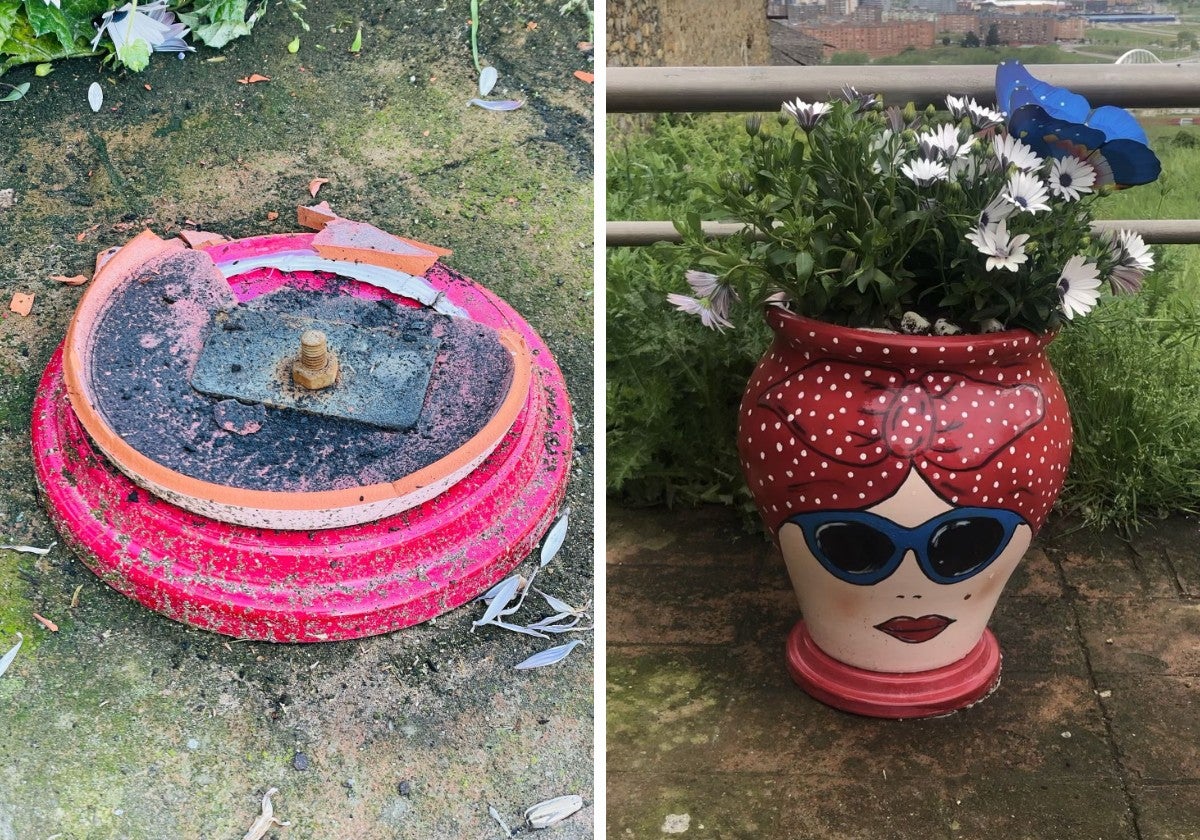 Vandalizan la decoración de Santo Tomás: «Arrancaron el tiesto entero de cuajo»