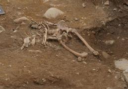 «No puede permanecer ningún resto humano en este cementerio del Carmen»