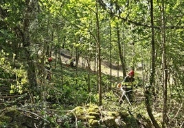 Labores de desbroce de la Diputación de León para la prevención de incendios.