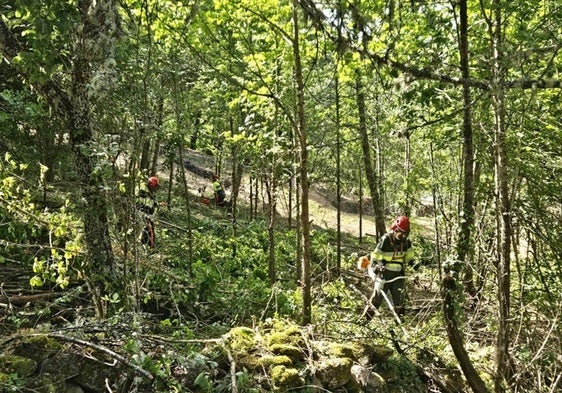 Labores de desbroce de la Diputación de León para la prevención de incendios.