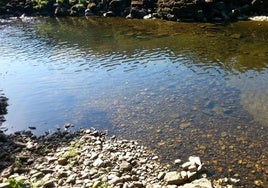 Entorno del río Boeza en Torre del Bierzo.