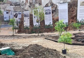 Imagen de la plantación del Jardín Romántico de la Casa de Enrique Gil y Carrasco en Villafranca del Bierzo.