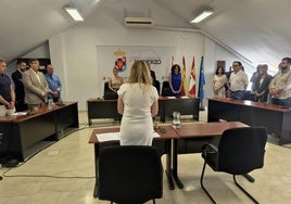 Imagen del pleno extraordinario celebrado en la sede del Consejo Comarcal del Bierzo.