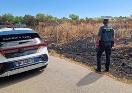 Imagen de un Guardia Civil en la zona del incendio.