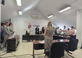 Imagen del pleno.