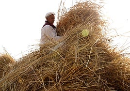Las mejores fotos de la VI Malla popular en Corullón (León)