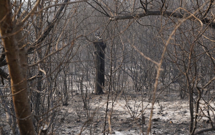 Incendio en Las Médulas.